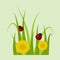Green grass border plant lawn nature meadow ecology summer gardening vector illustration