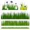 Green grass border plant lawn nature meadow ecology summer gardening vector illustration