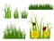 Green grass border plant lawn nature meadow ecology summer gardening vector illustration