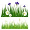 Green grass border plant lawn nature meadow ecology summer gardening vector illustration