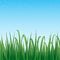 Green grass border with sparkling blue sky background.