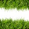 Green grass border on white