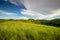 Green grass climbs sumba island indonesia photo