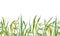 Green grass close up seamless border. Watercolor illustration. Lush grass - meadow element. Seamless border with green