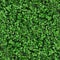 Green grass clover seamless texture