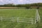 Green grass covered equestrian horse arena