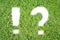 Green grass ecological Question and Exclamation mark icon