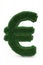 Green grass euro sign.