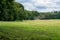 Green grass farm field with blue tractor with a rotary rake in the distance raking freshly cut grass in the field