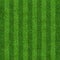 Green grass field background for soccer and football sports. Green lawn pattern and texture background. Close-up