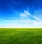 Green grass field and bright blue sky