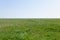 Green grass field with flat, even horizon in the distance