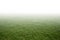 Green grass field. foggy landscape