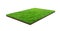 Green grass field isolated on white with clipping path. Sports field. Summer team games