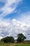 Green Grass Field Landscape with fantastic clouds in the background