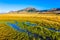 The green grass field with streams