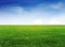 Green grass field under clear blue sky and white clouds