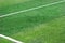 Green grass field with white mark line football soccer