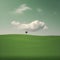Green grass fields and calm skies. AI-Generated.