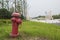 On the green grass fire hydrant