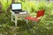 Among the green grass and flowers in the garden, there is a table with a laptop and a folding chair