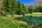 Green grass and flowers on the shore of lake Laux in Italy.