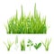 Green grass. Fresh garden elements nature vector pictures of herbs and leaves