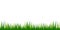 Green grass fresh natural eco border with white background vector