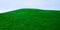 Green grass fresh real field lawn on hill isolated on blue sky background