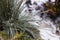 The green grass froze from the freezing rain. Plant leaves in ice, background