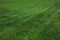 Green grass, green pasture, abstract background.