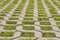 Green grass grows through cobblestones in a lattice shape