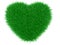 Green grass heart shape.