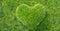 Green grass in heart shape concept of environment and sustainability