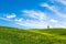 Green grass hill, blue sky and a solitary cypress