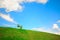 Green grass hill over blue sky