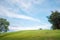 Green grass on the hills with clear blue sky, Doi Samer Dao