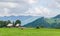 Green grass hills on the Transalpina road, Parang Mountains