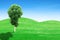 Green grass hills and tree with sky