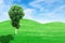 Green grass hills and tree with sky