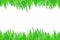 Green grass. isolate on a white background. Grass from the bottom and top of the layout, border design and edging