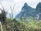 green grass and karst peaks in Yangshuo