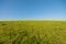 Green Grass Landscape and blue sky at Berkeley Mar