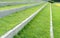 Green grass lawn and bench in the garden