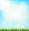 Green grass lawn with chamomiles on blue sky. Floral nature spring