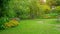 Green grass lawn in a garden with random pattern of grey concrete stepping stone , Flowering plant, shurb , trees on backyard