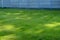 Green grass lawn - grass natural lawn near the gray fence trimmed unevenly and sloppy
