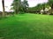 Green grass Lawn and paths