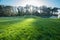 Green grass lawn at sunset time in Golden Gate city park in San Francisco with no people