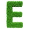 Green Grass Letter E